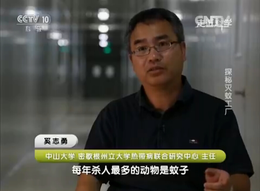 CCTV10科教频道【走近科学——探秘灭蚊工厂】