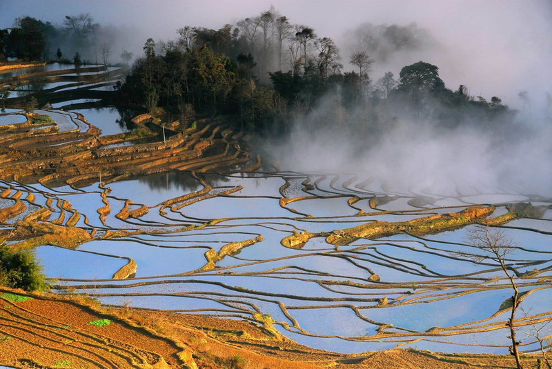我院分工会举行摄影沙龙
