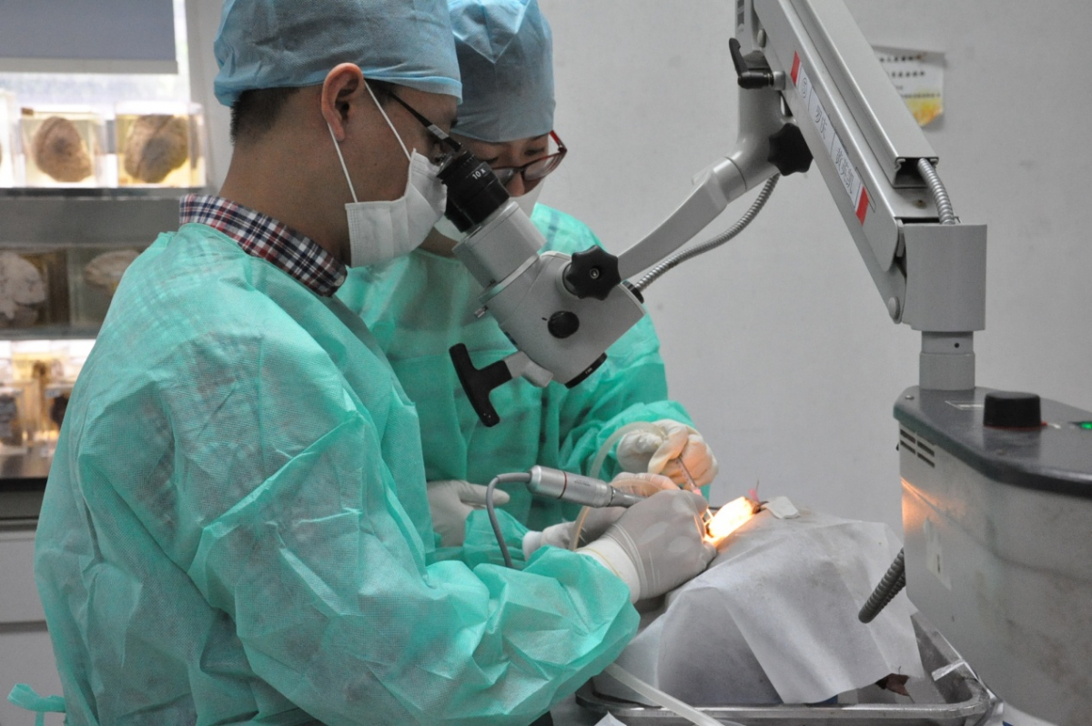 基础与临床的紧密结合，模拟向实操的高效衔接——Williamhill中文临床解剖学外科微创技术训练平台开展