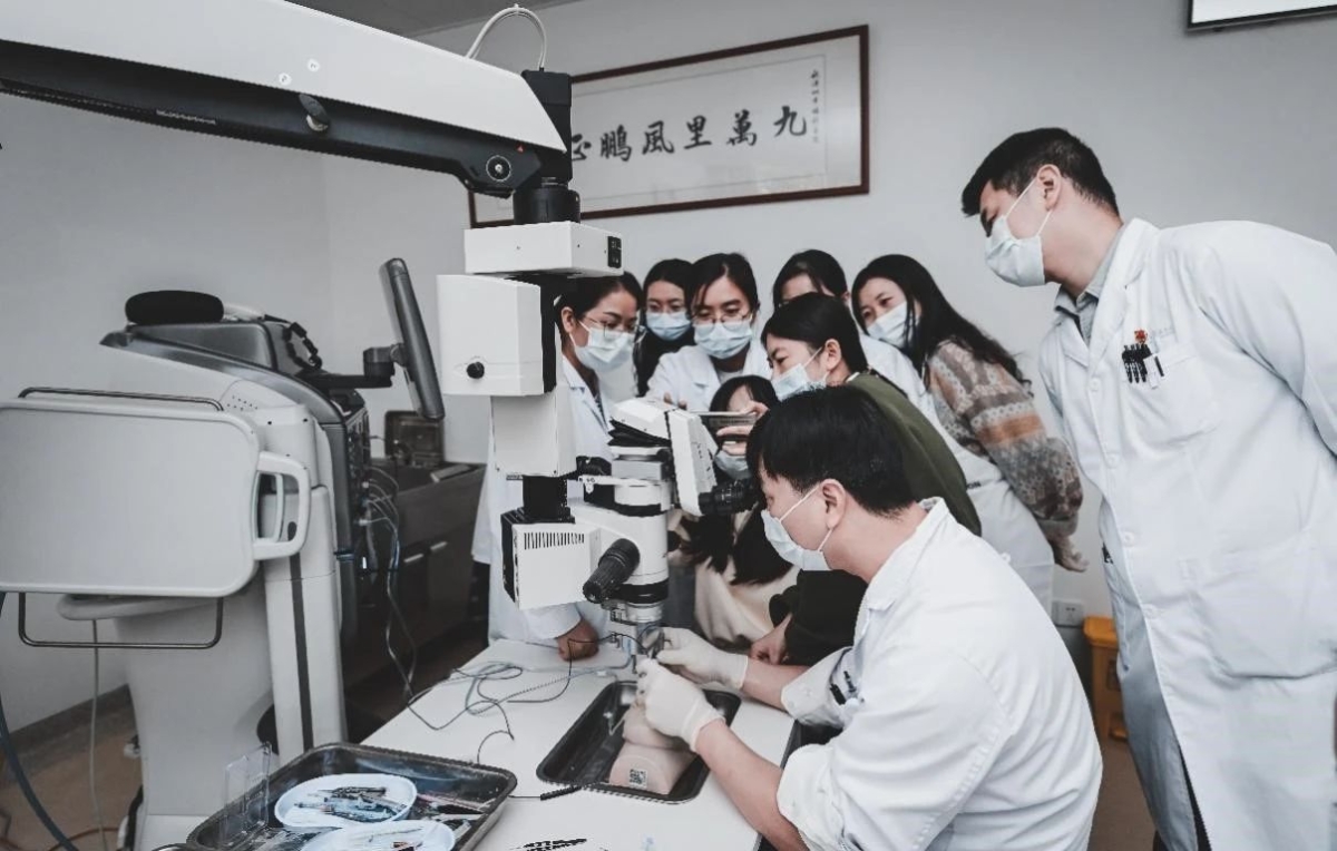 带教动物眼培训