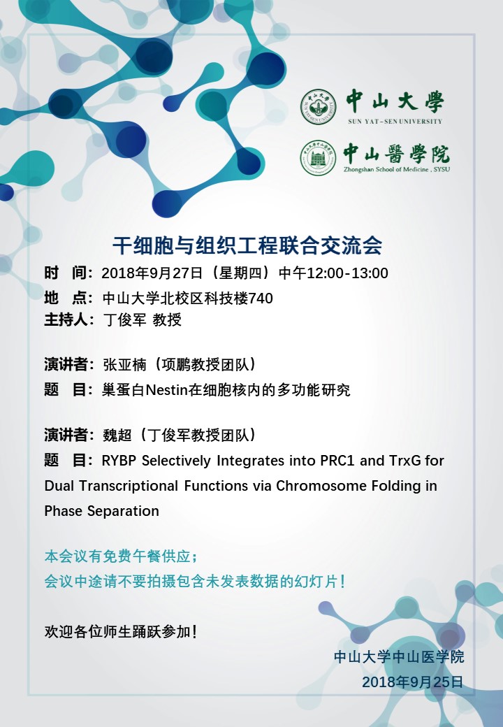 巢蛋白Nestin在细胞核内的多功能研究 