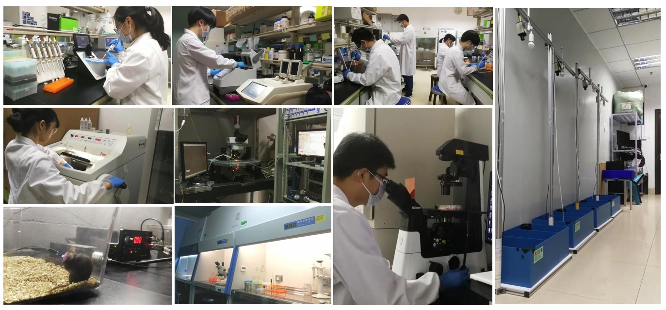 实验室部分设备