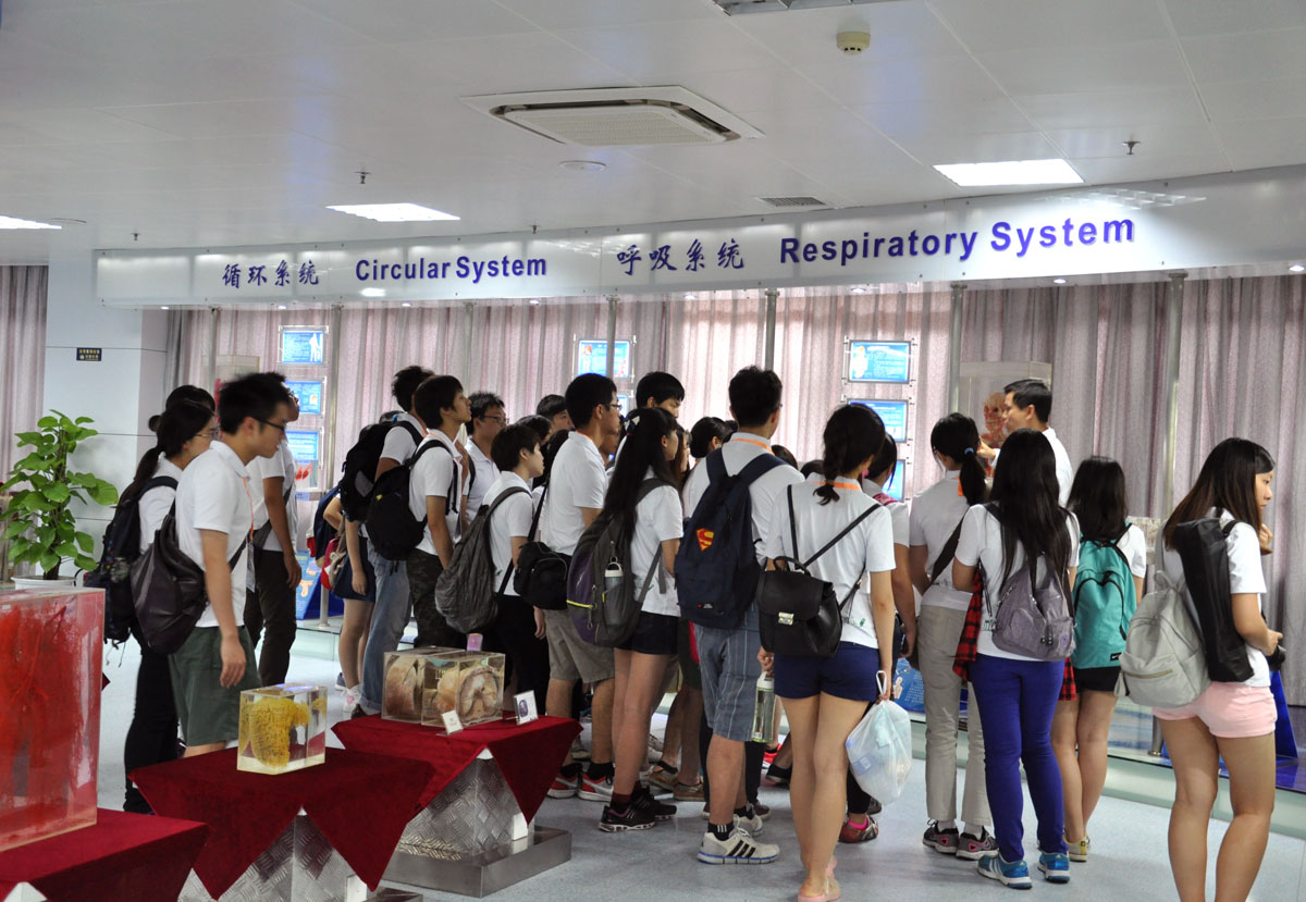 我院医学标本馆暑期对外开放