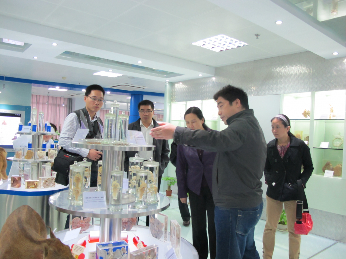 福建医科大学基础医学院党委书记黄黎玲一行来我院参观交流